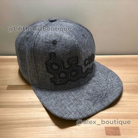 Embroidered Flat-brim Cap Unisex (V002) - Picture 1 of 9